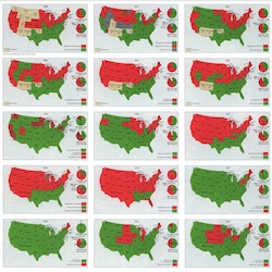 Election Results
