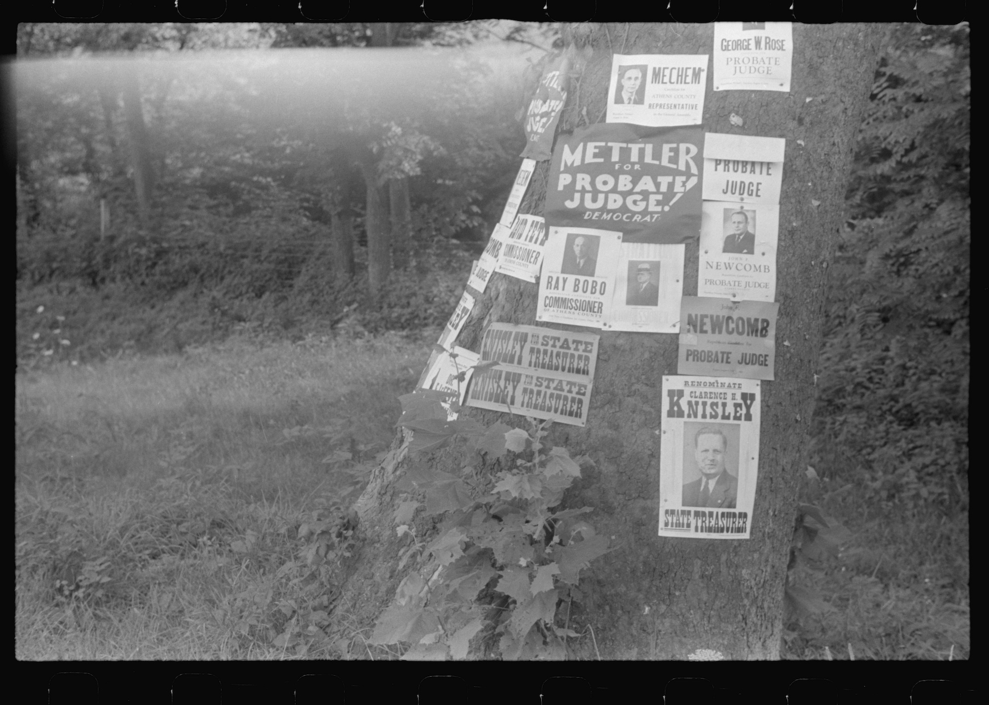 Posters on Tree