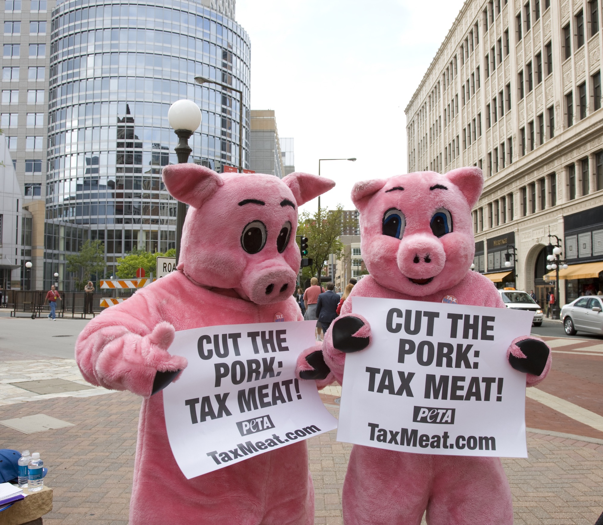 Protestors Dressed as Pigs