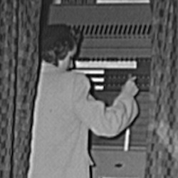 Young Woman Voting